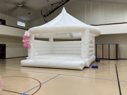 IMG 0922 1762027490 White Bounce